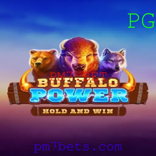 BuffaloPower: Um Mergulho no Mundo do Jogo com PM7.BET