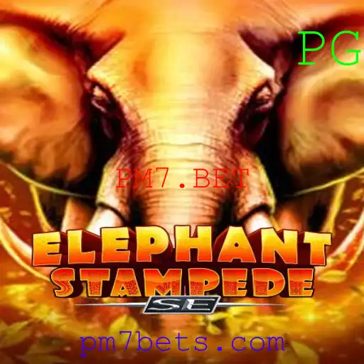 Descubra ElephantStampedeSE: O Novo Fenômeno em PM7.BET